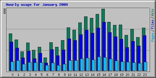 Hourly usage for January 2009